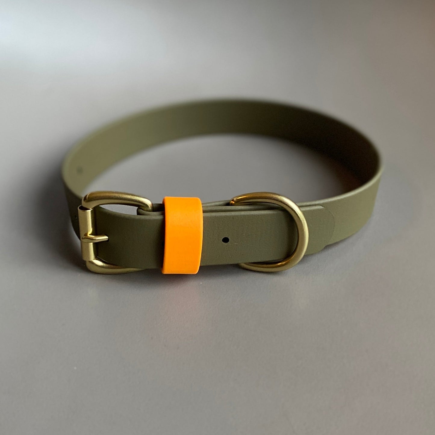 Dougie Colourblock BioThane® Collar