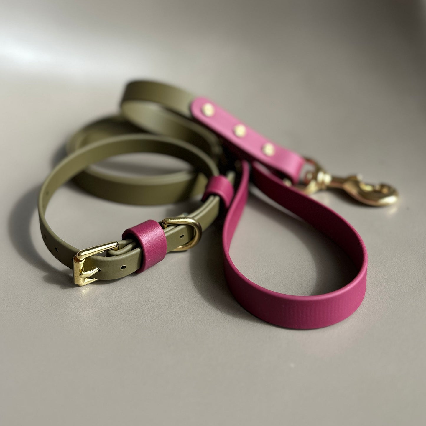 Banks Colourblock BioThane® Collar