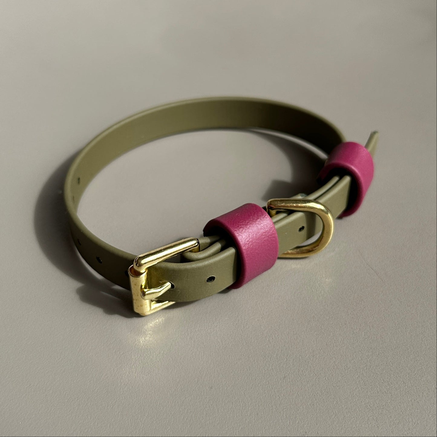 Banks Colourblock BioThane® Collar