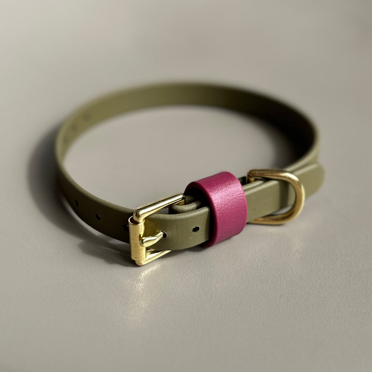 Banks Colourblock BioThane® Collar
