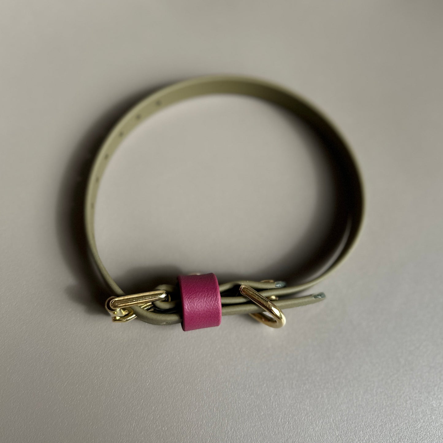 Banks Colourblock BioThane® Collar