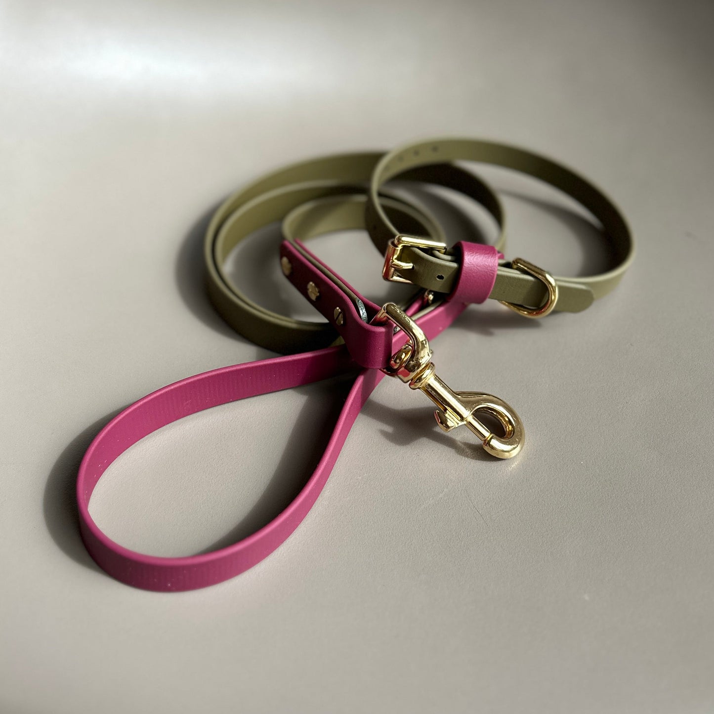 Banks Colourblock BioThane® Collar