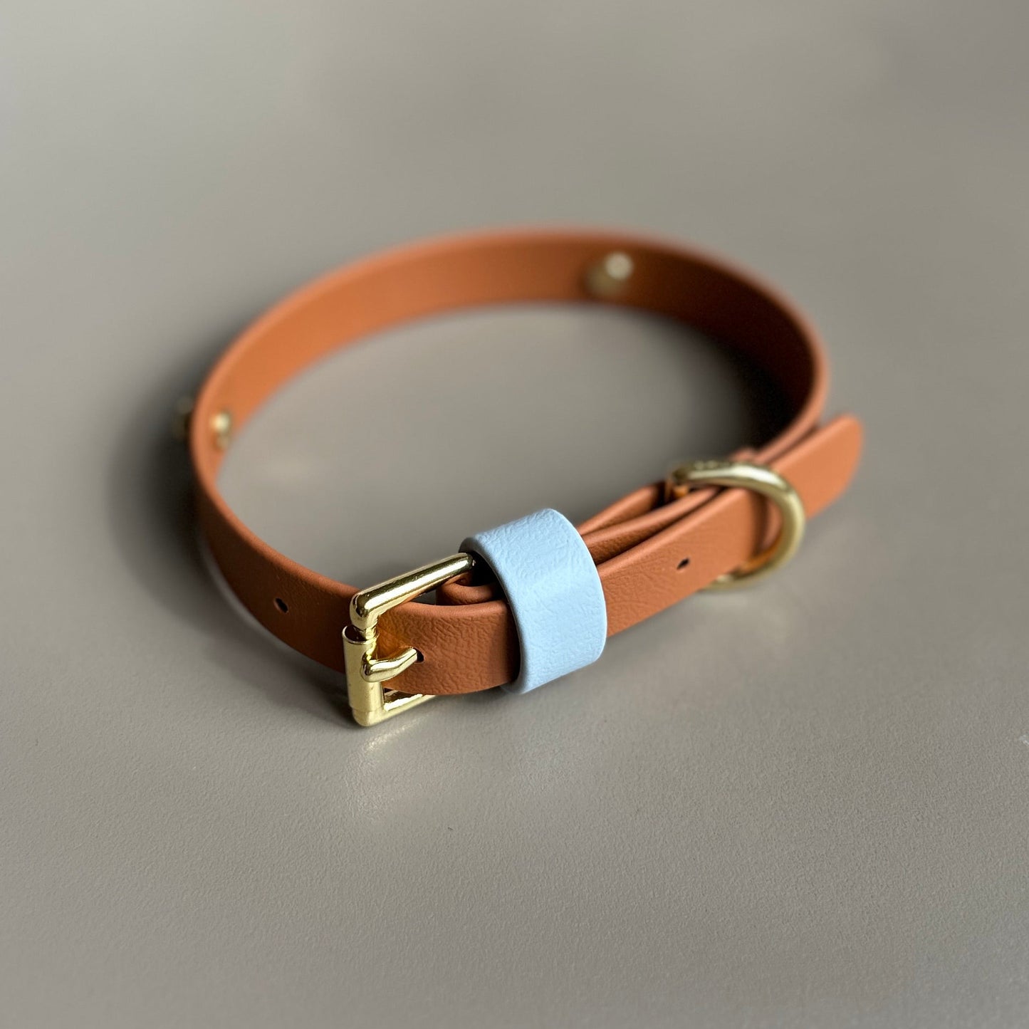 Towans Colourband BioThane® Collar