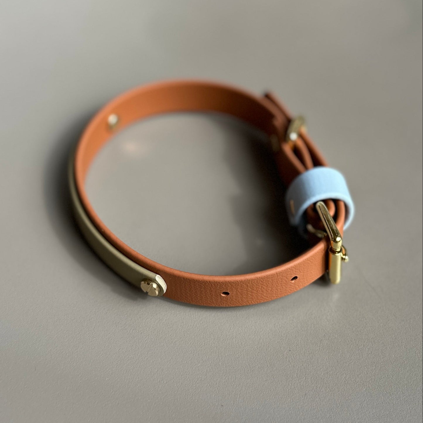 Towans Colourband BioThane® Collar