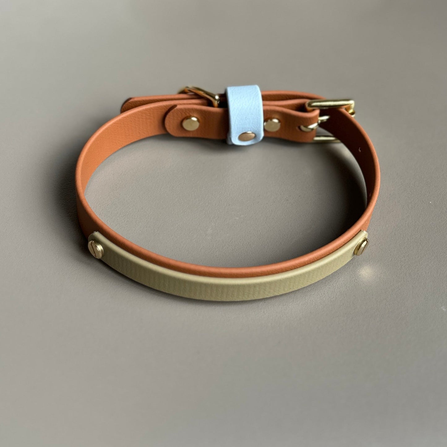 Towans Colourband BioThane® Collar