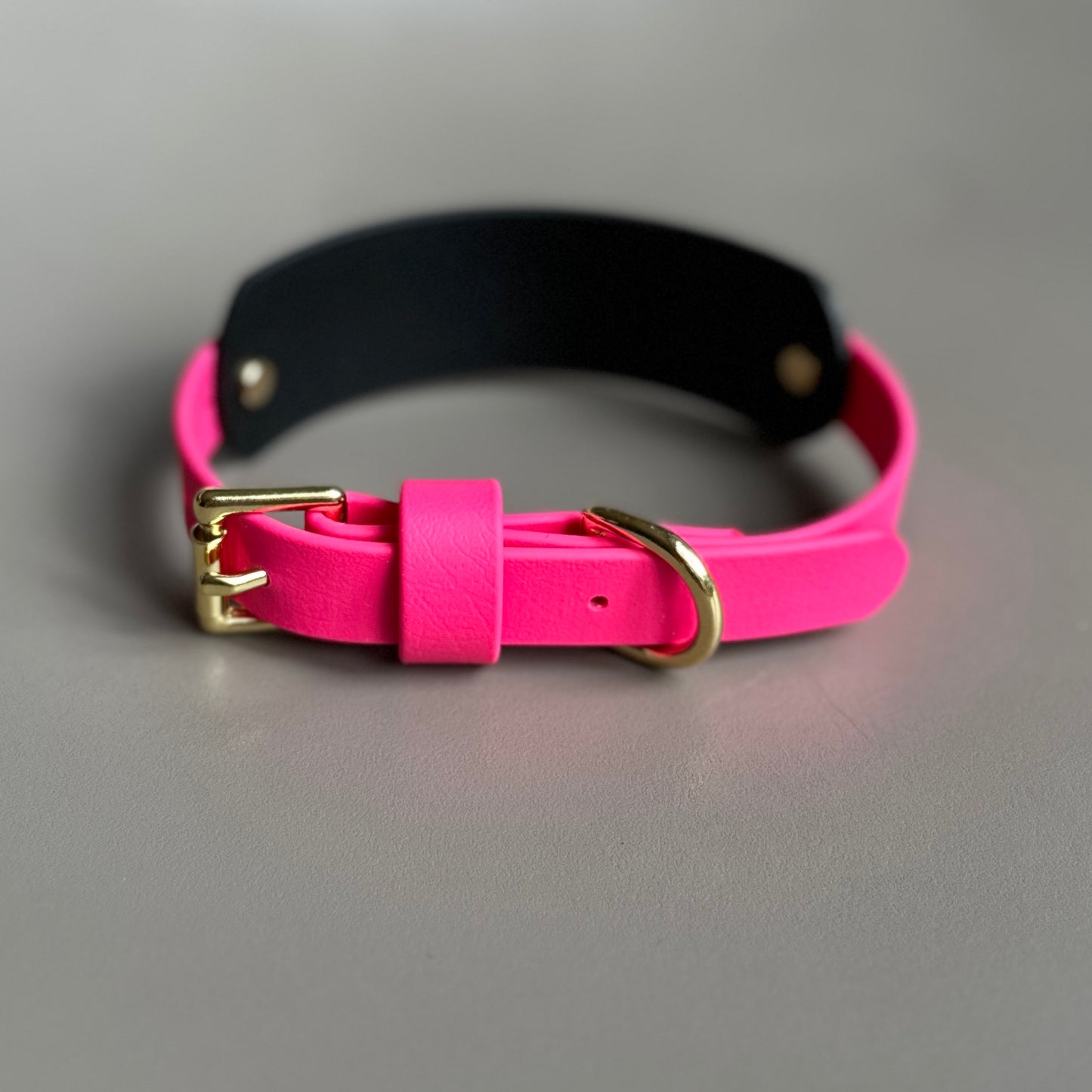 Rain BioThane® Hound Style Collar