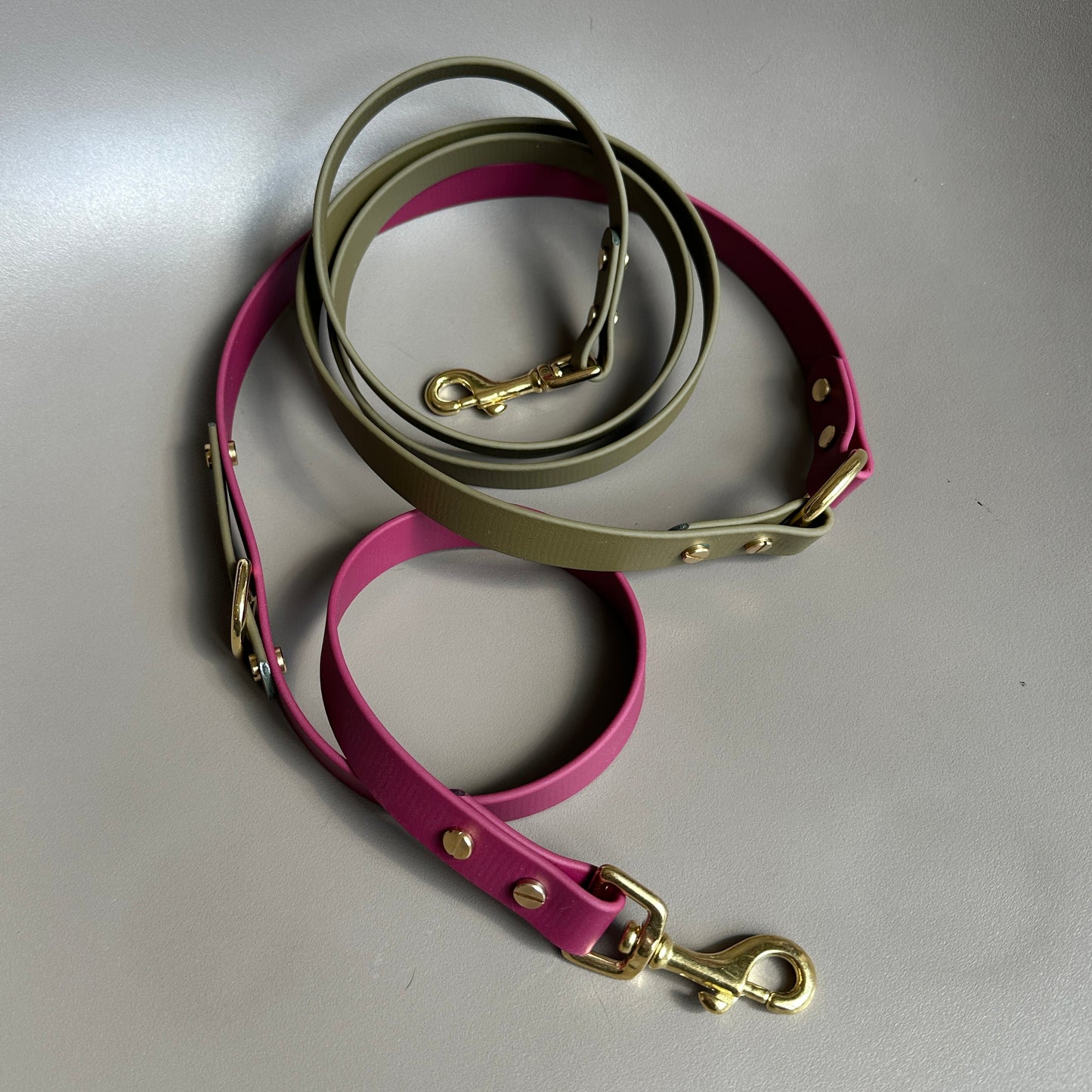 Banks Crossbody Multiway BioThane® Lead