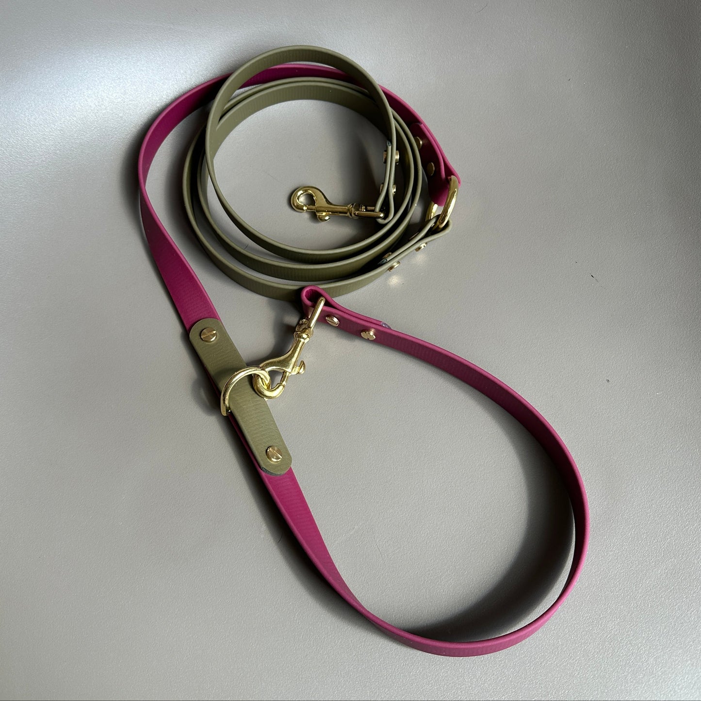 Banks Crossbody Multiway BioThane® Lead