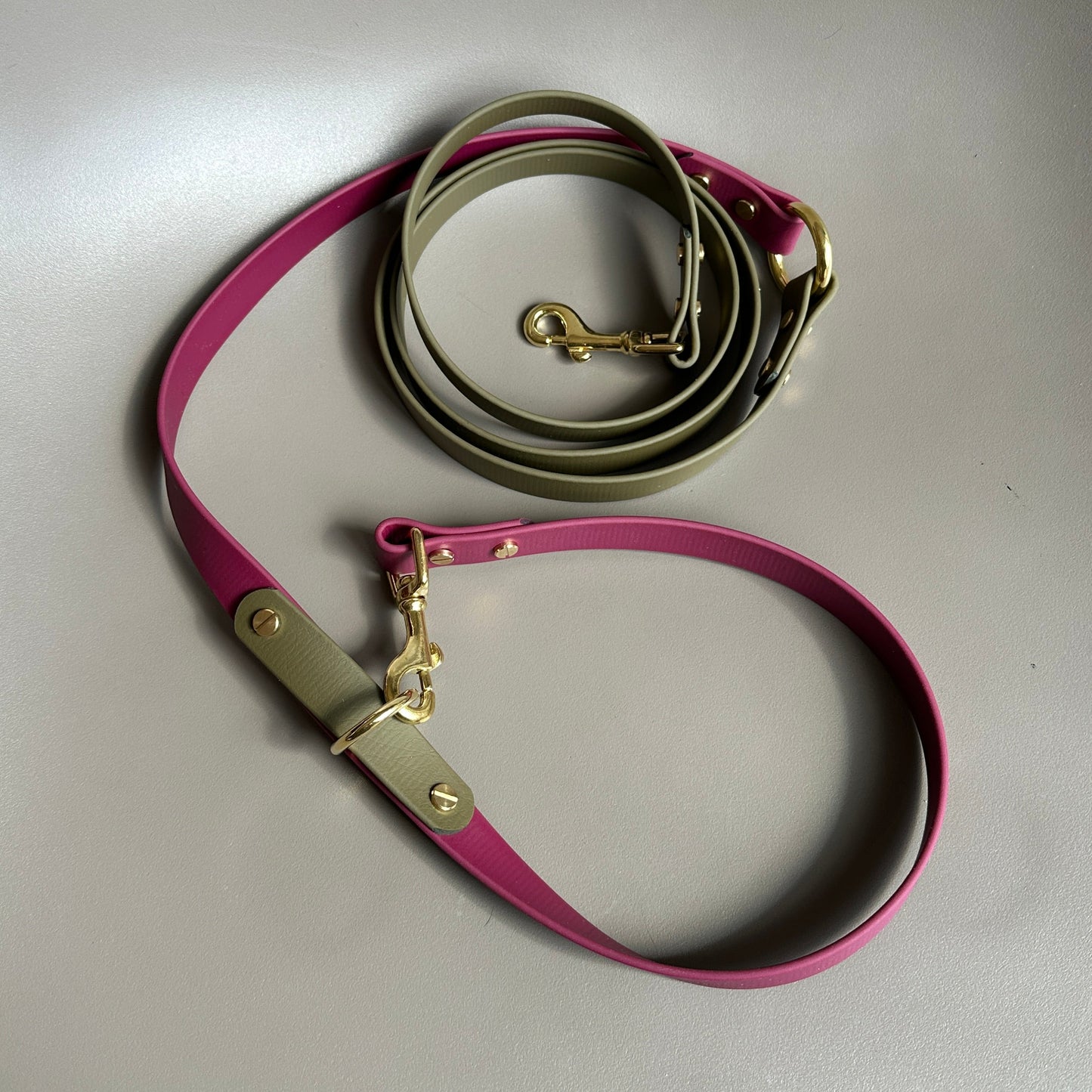 Banks Crossbody Multiway BioThane® Lead