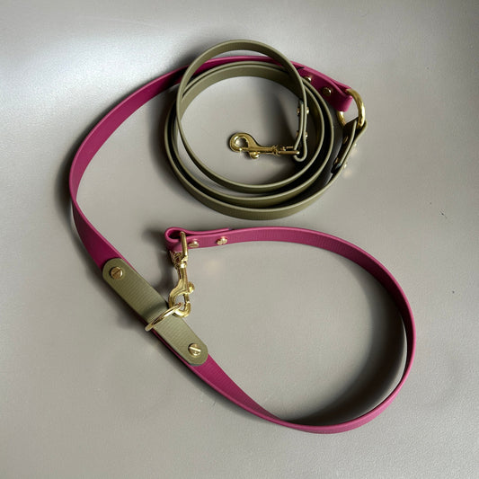 Banks Crossbody Multiway BioThane® Lead