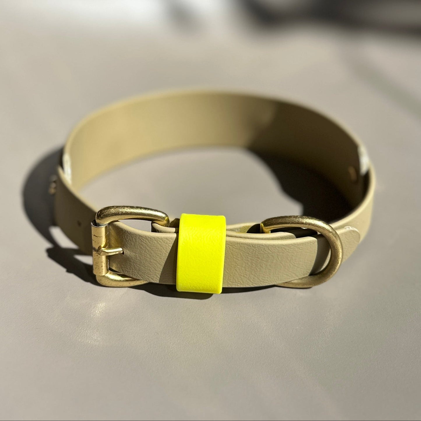 Neon Jungle BioThane® Hound Style Collar