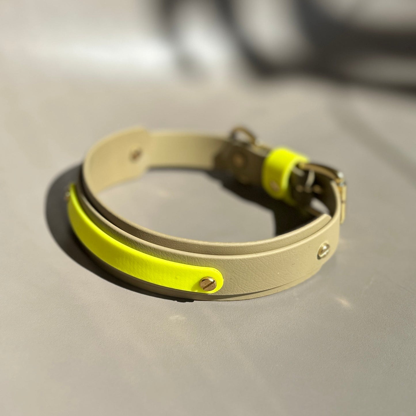 Neon Jungle BioThane® Hound Style Collar