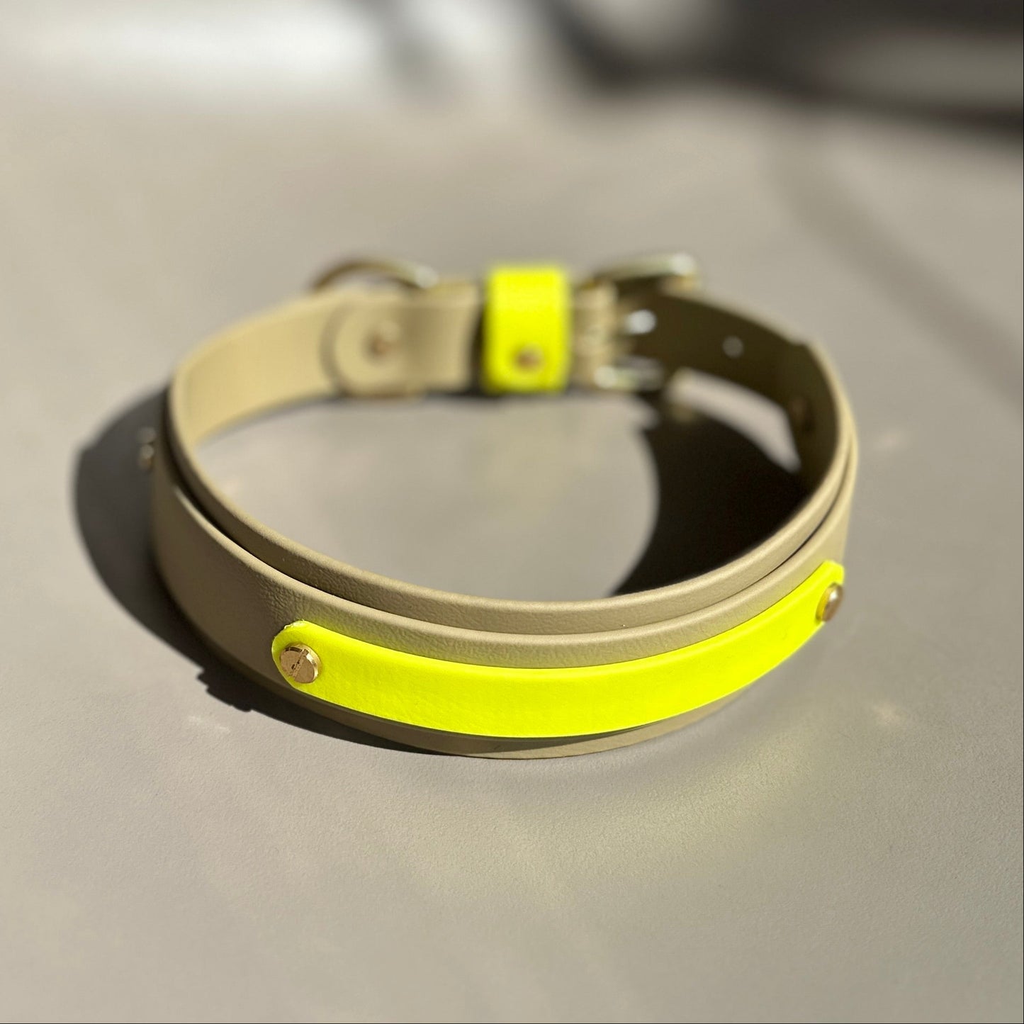 Neon Jungle BioThane® Hound Style Collar