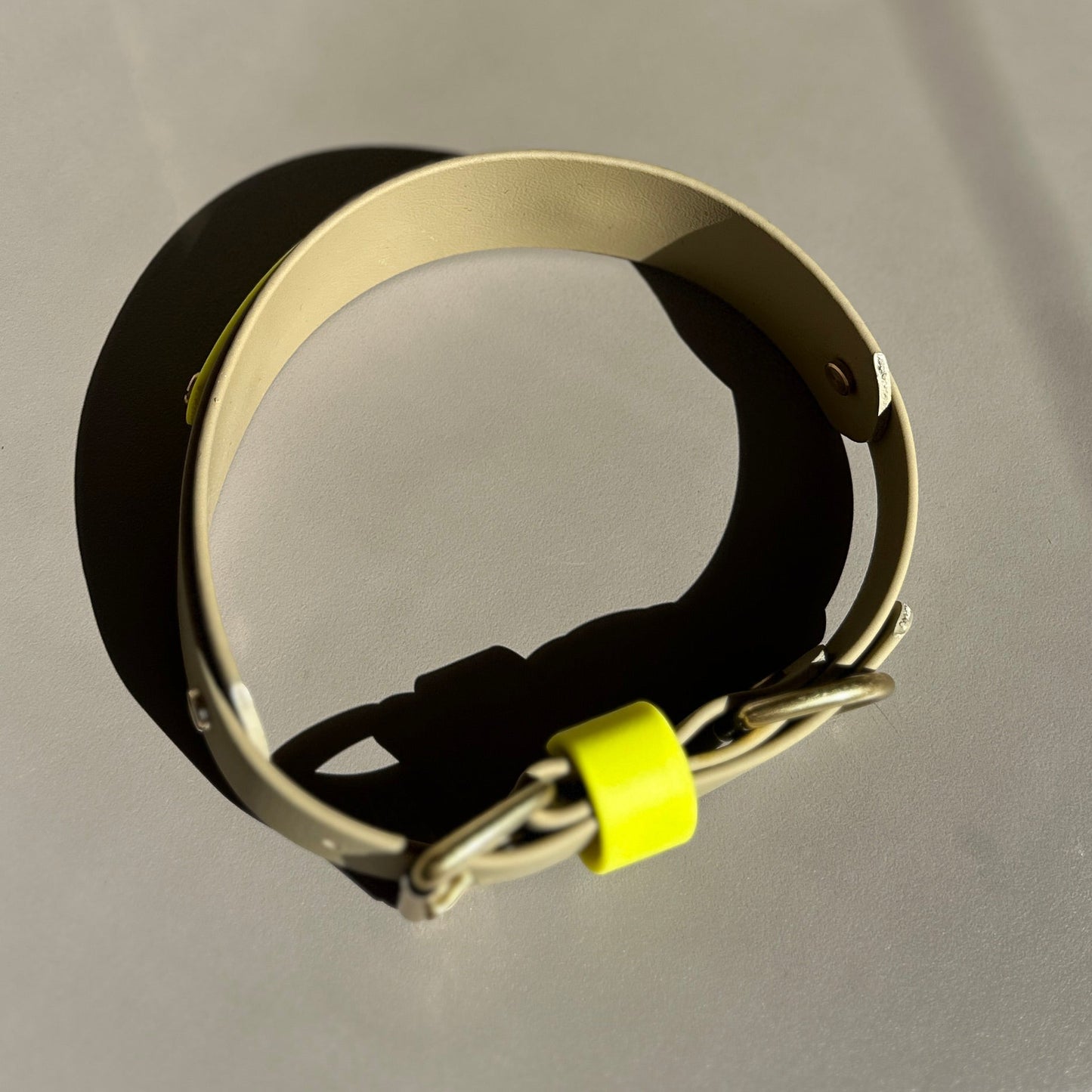 Neon Jungle BioThane® Hound Style Collar