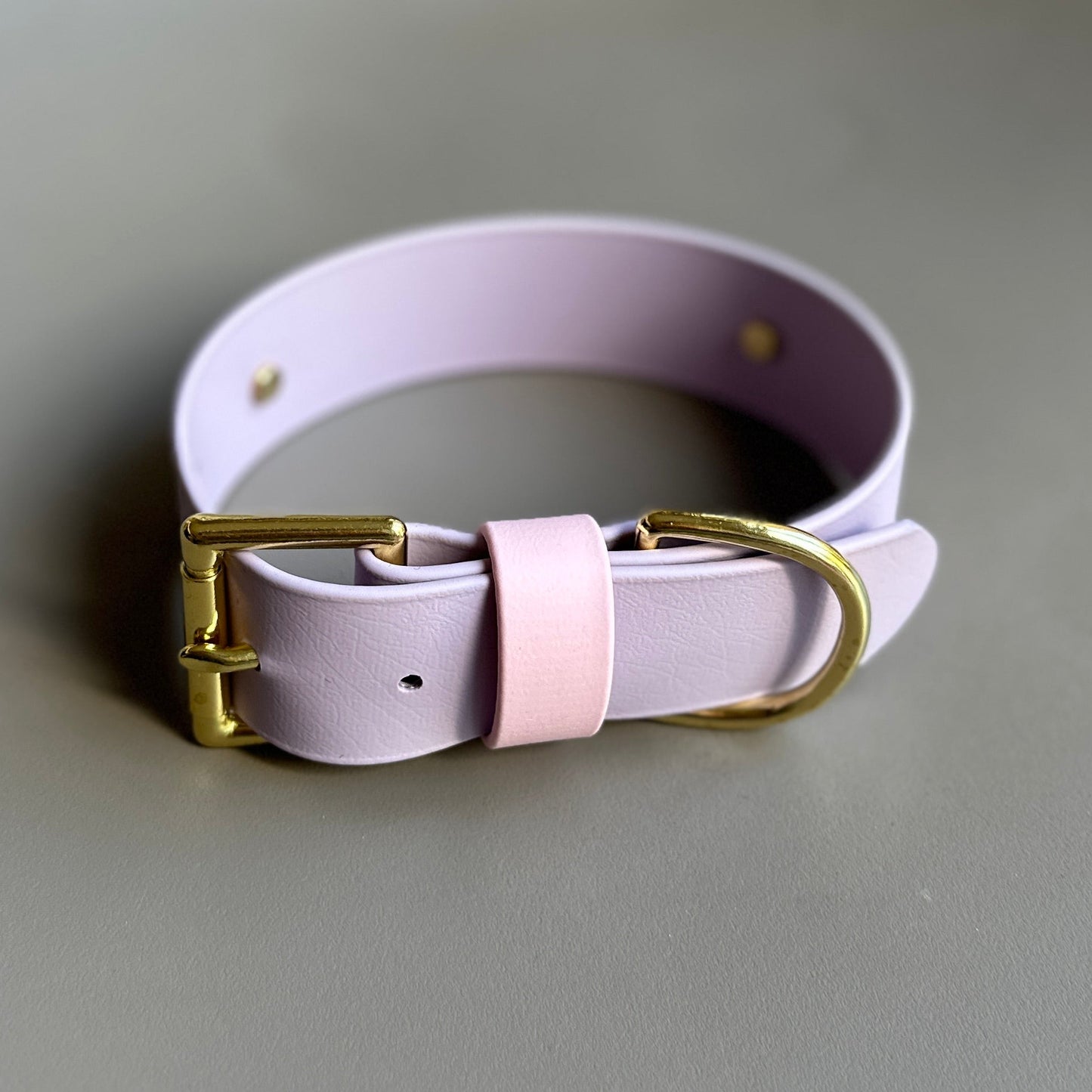 Maggie Wide 38mm BioThane® Collar