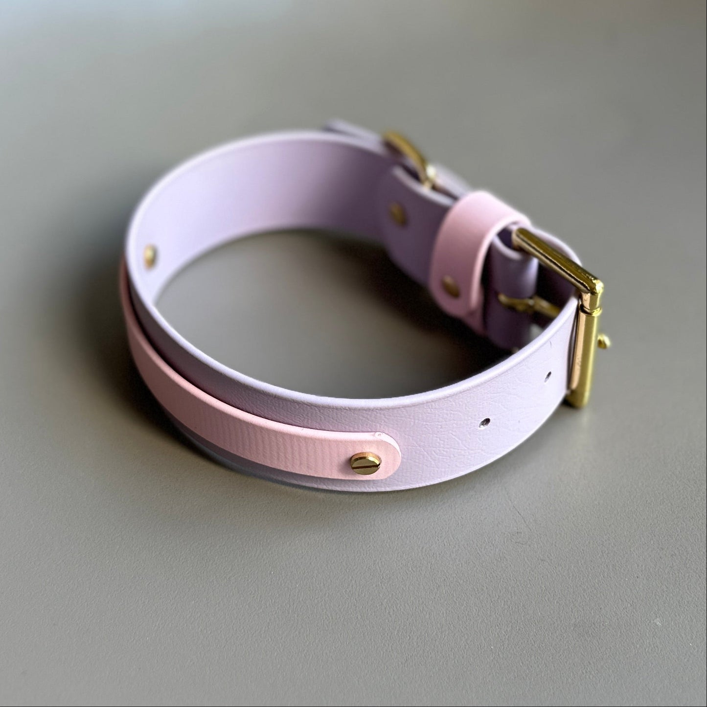 Maggie Wide 38mm BioThane® Collar