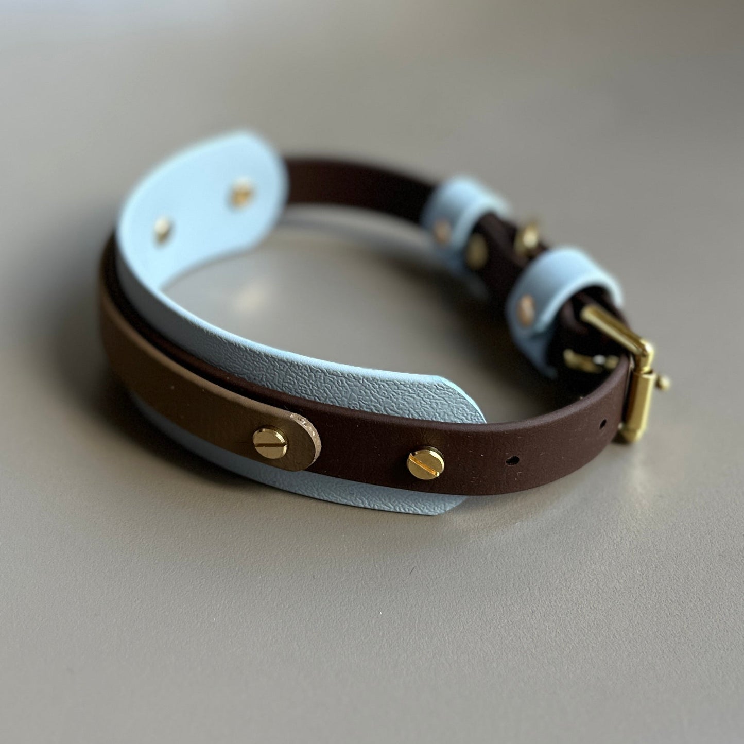 Axel BioThane® Hound Style Collar