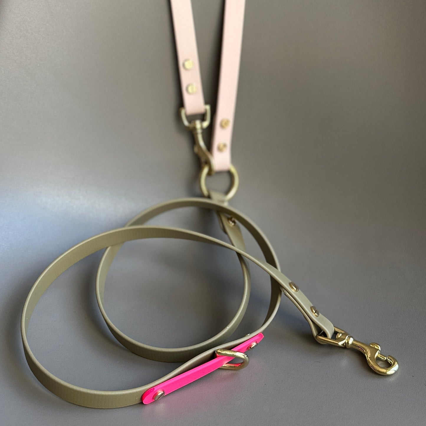 Mallow Crossbody Multiway BioThane® Lead
