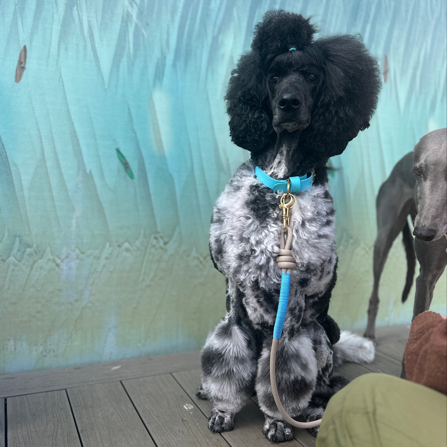 Rope Lead by Parti Dog Wear