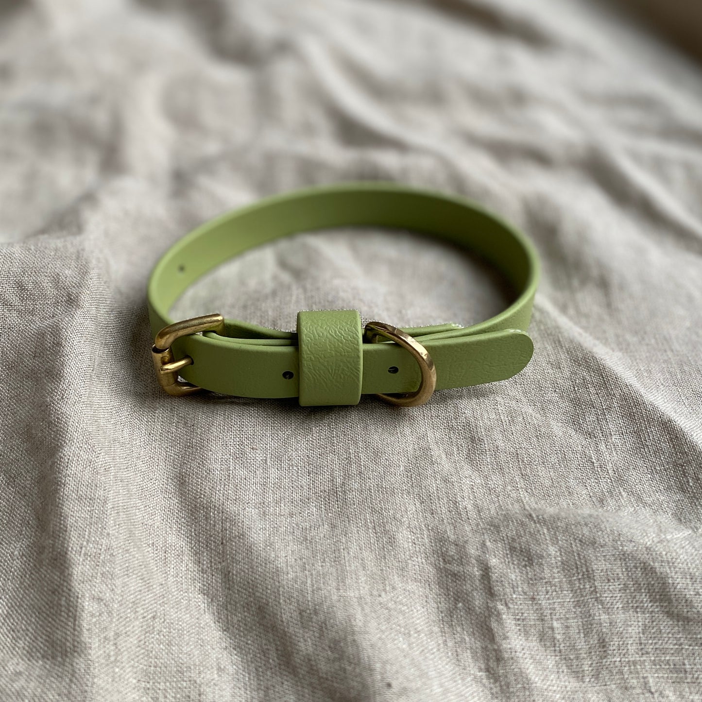 Guacamole BioThane® Collar