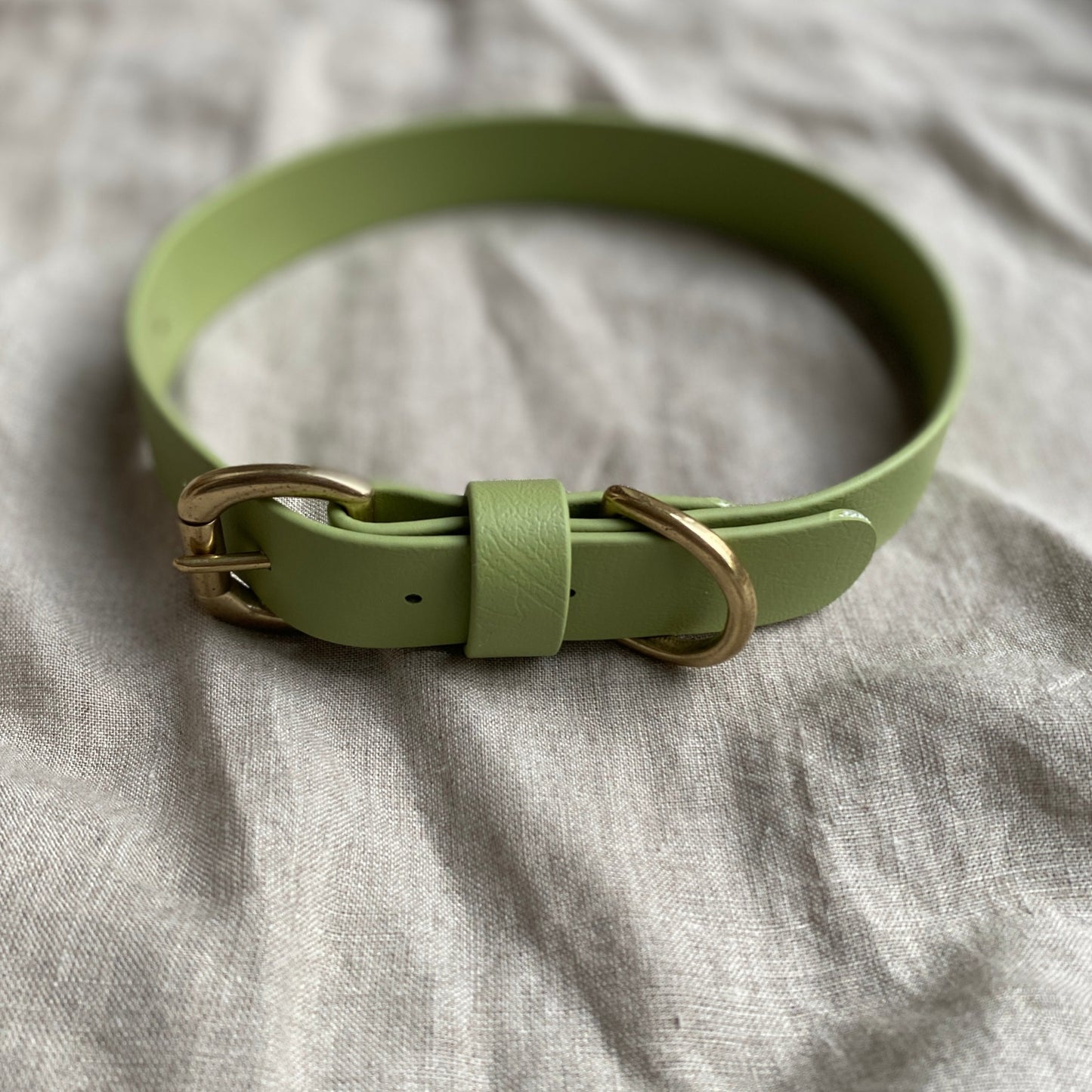 Guacamole BioThane® Collar