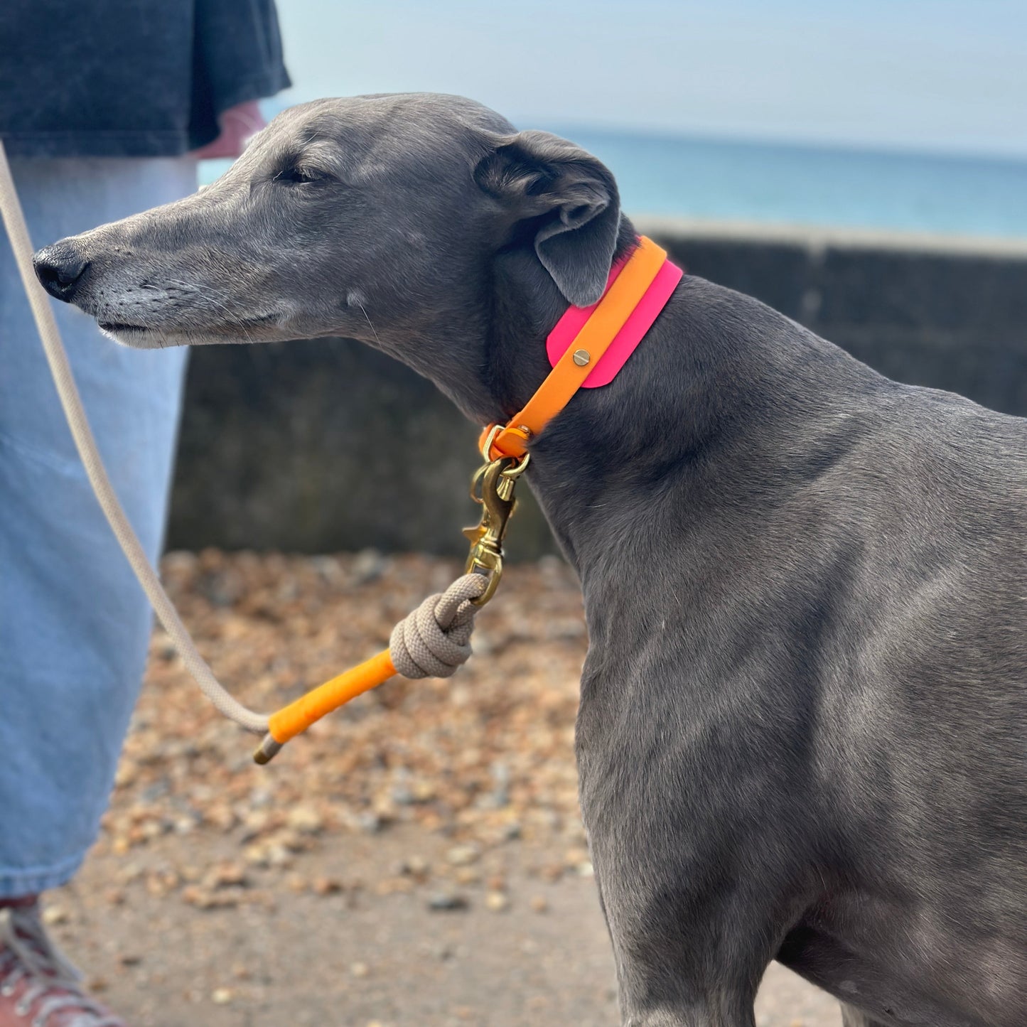 Rope Lead by Parti Dog Wear