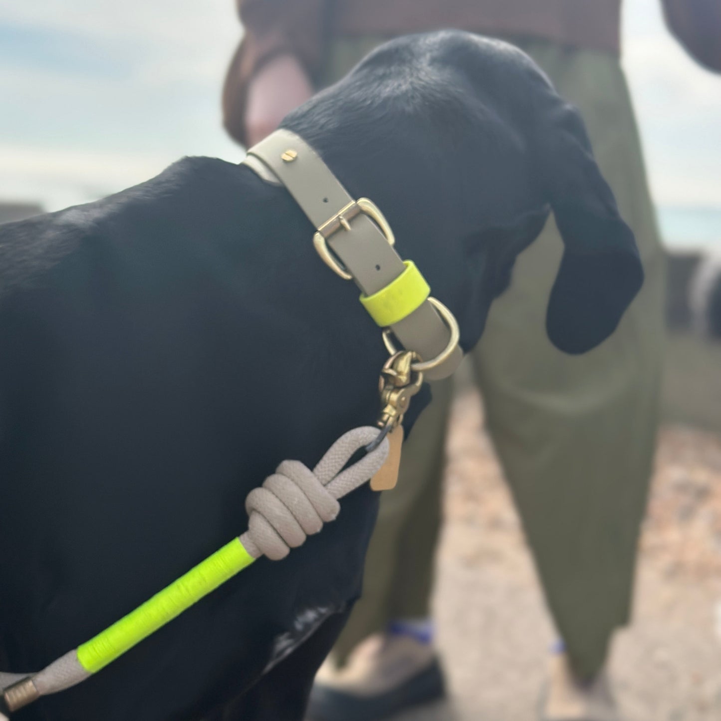 Rope Lead by Parti Dog Wear