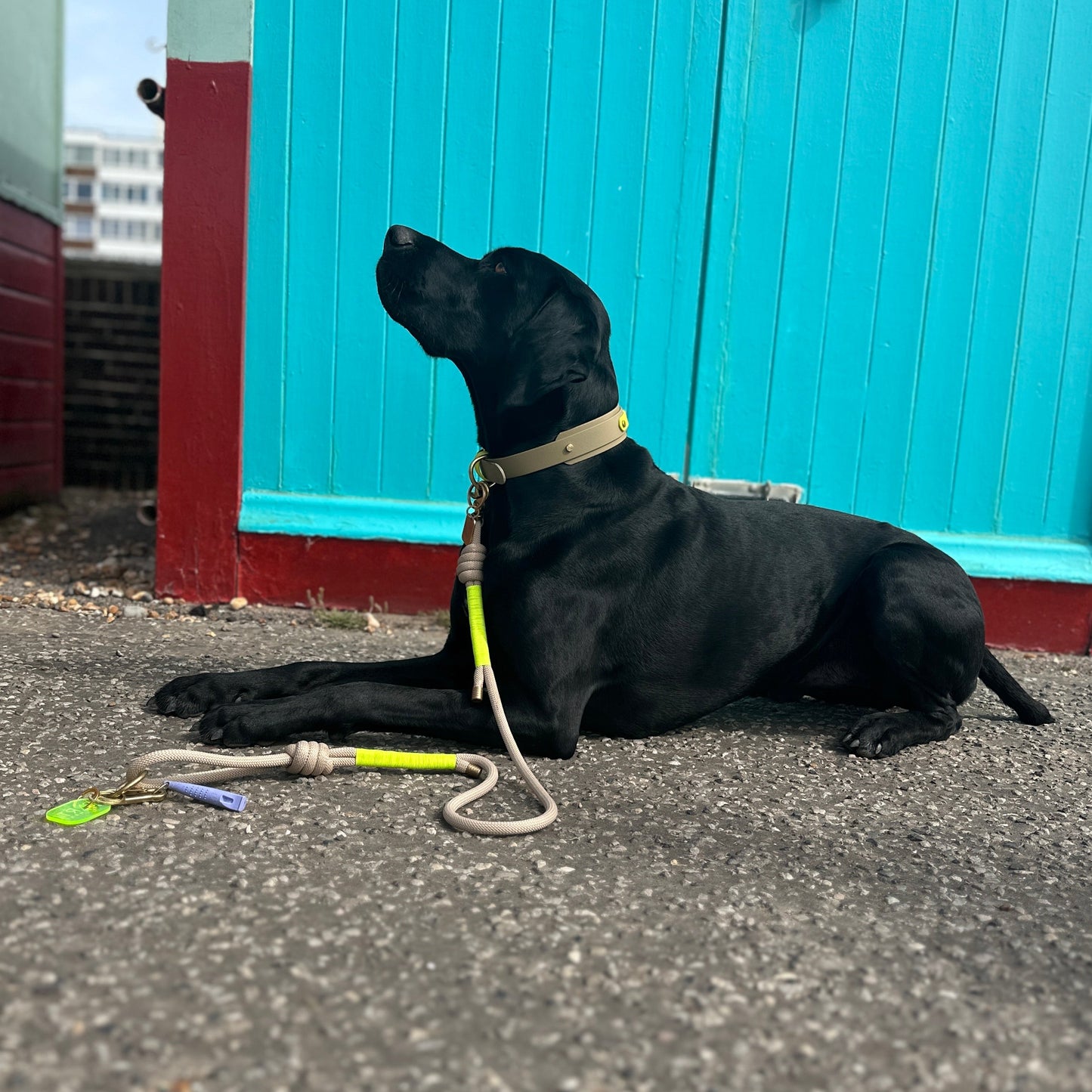 Rope Lead by Parti Dog Wear