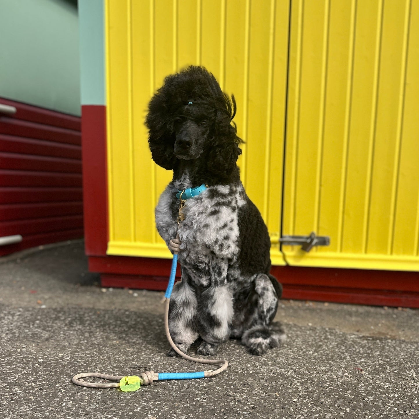 Rope Lead by Parti Dog Wear