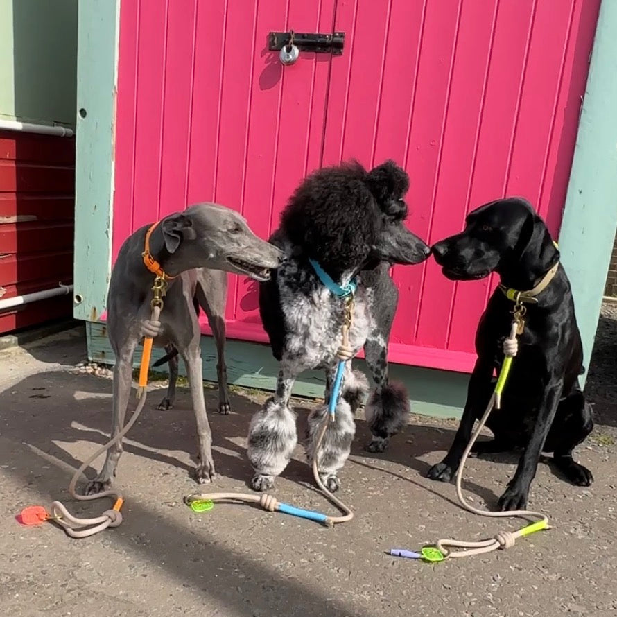 Rope Lead by Parti Dog Wear