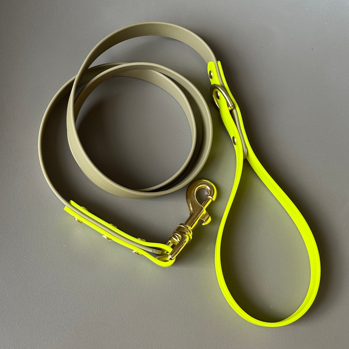 Neon Jungle Colourblock BioThane® Lead