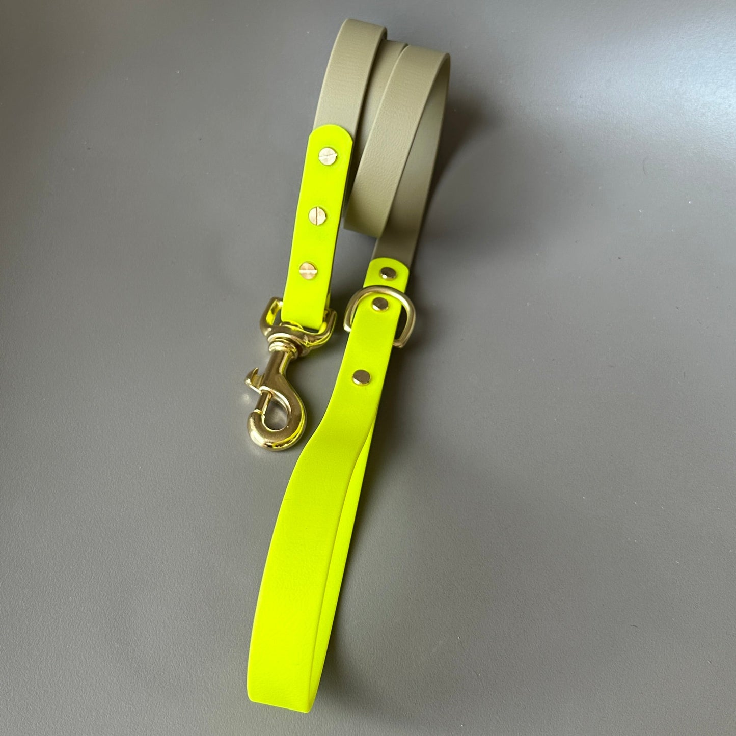 Neon Jungle Colourblock BioThane® Lead