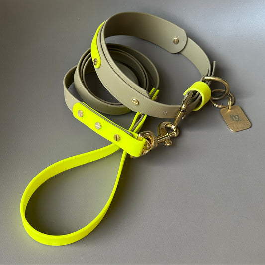 Neon Jungle BioThane® Hound Style Collar