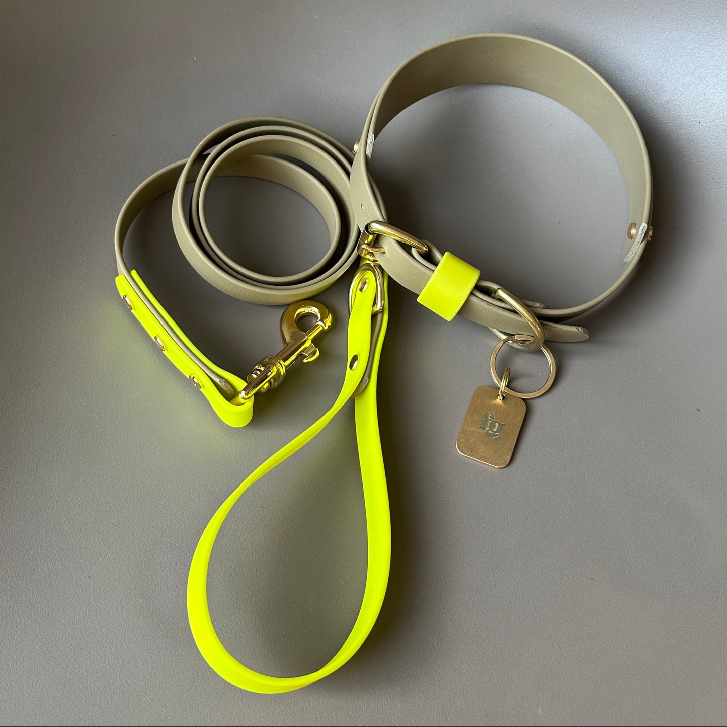Neon Jungle BioThane® Hound Style Collar