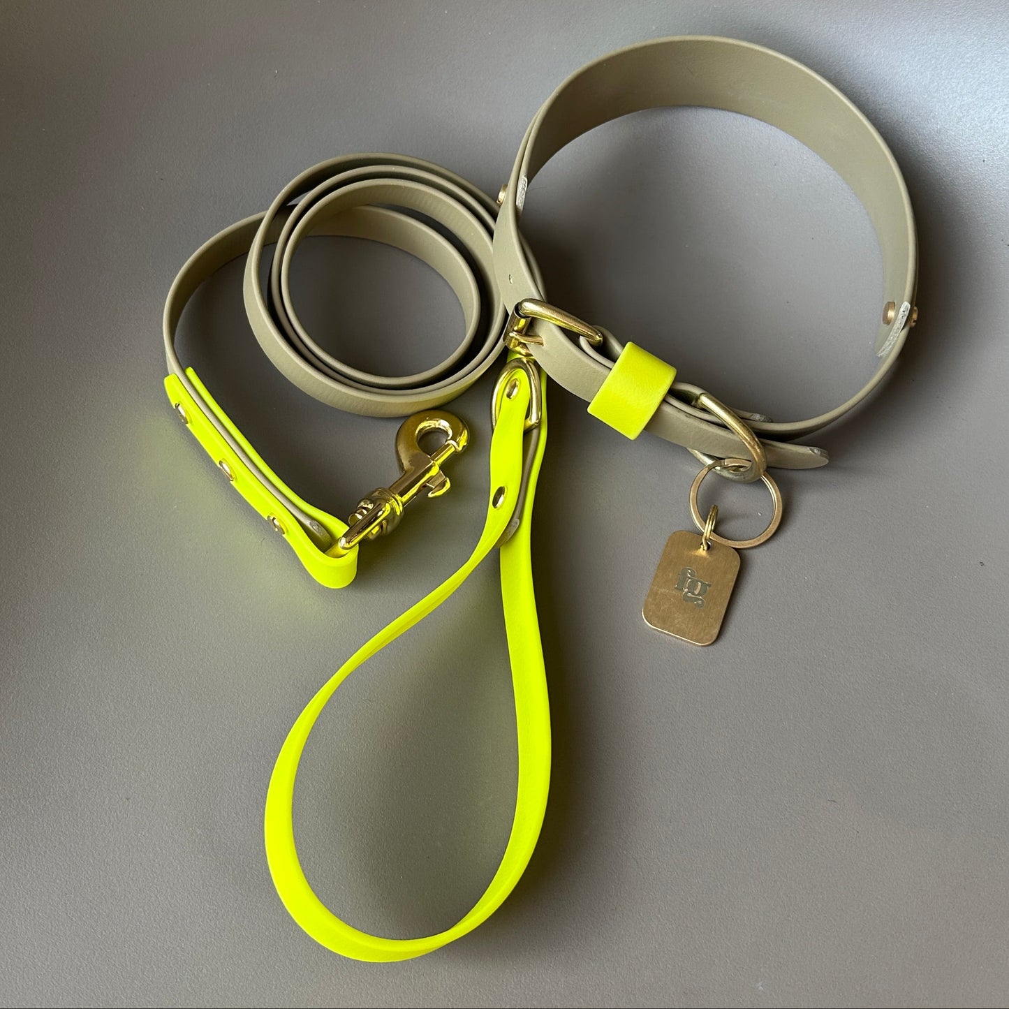 Neon Jungle Colourblock BioThane® Lead