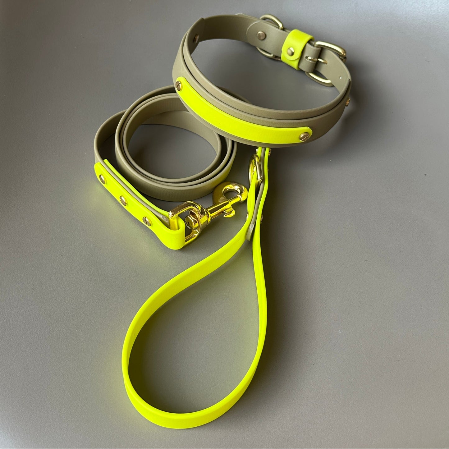 Neon Jungle BioThane® Hound Style Collar