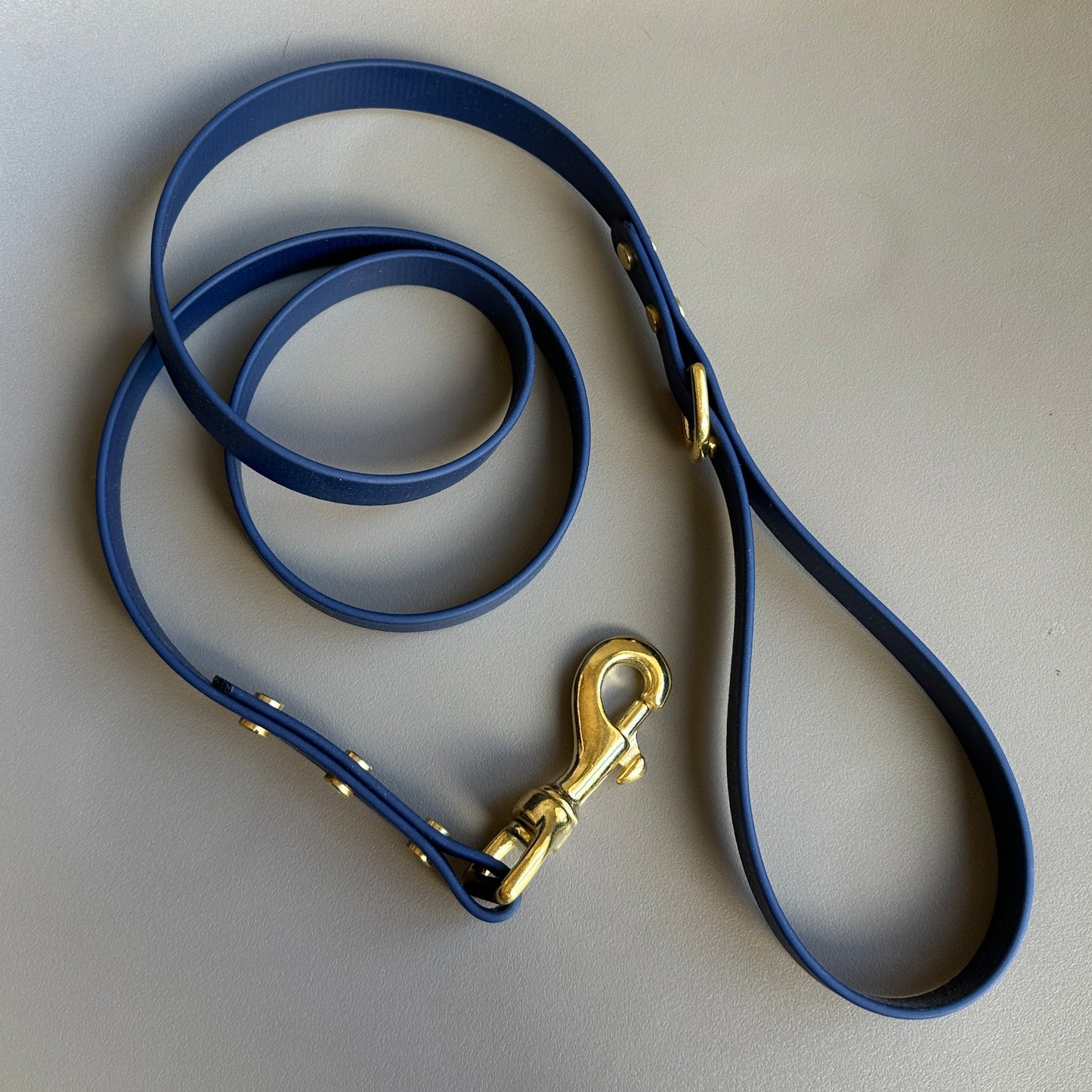 Cobalt Blue BioThane® Lead