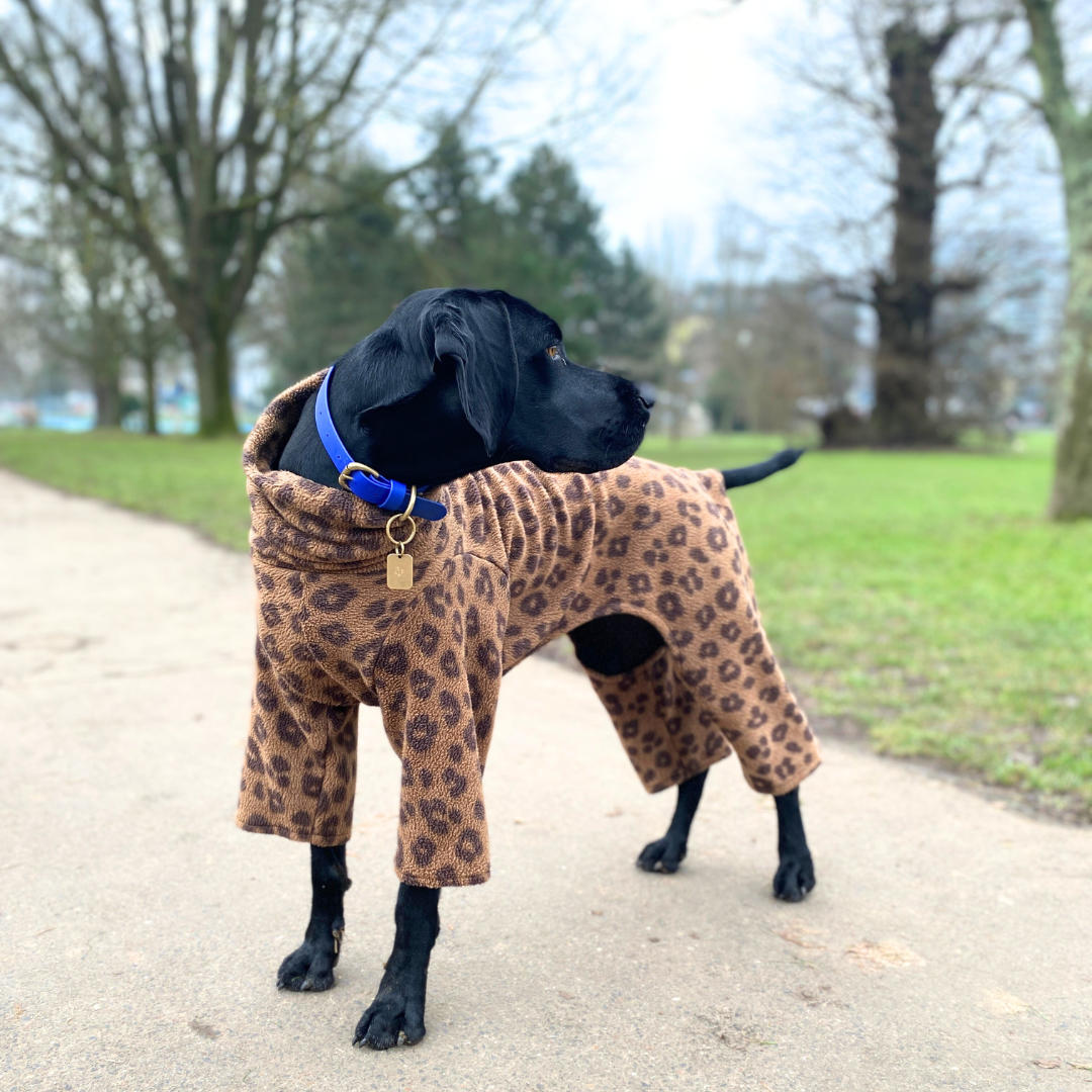 Leopard Print Fleece Dog Onesie