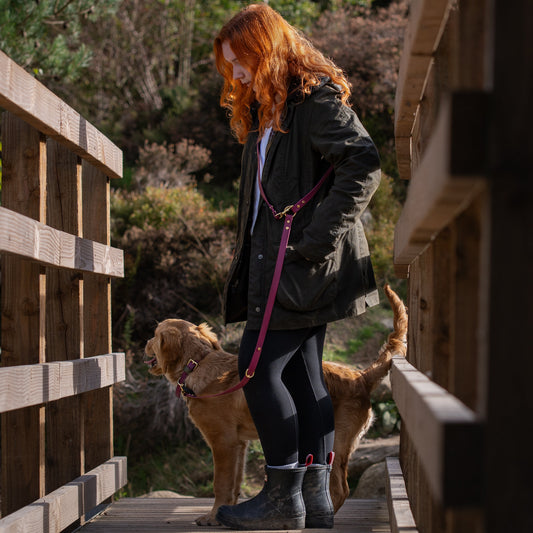 Crossbody Multiway BioThane® Lead