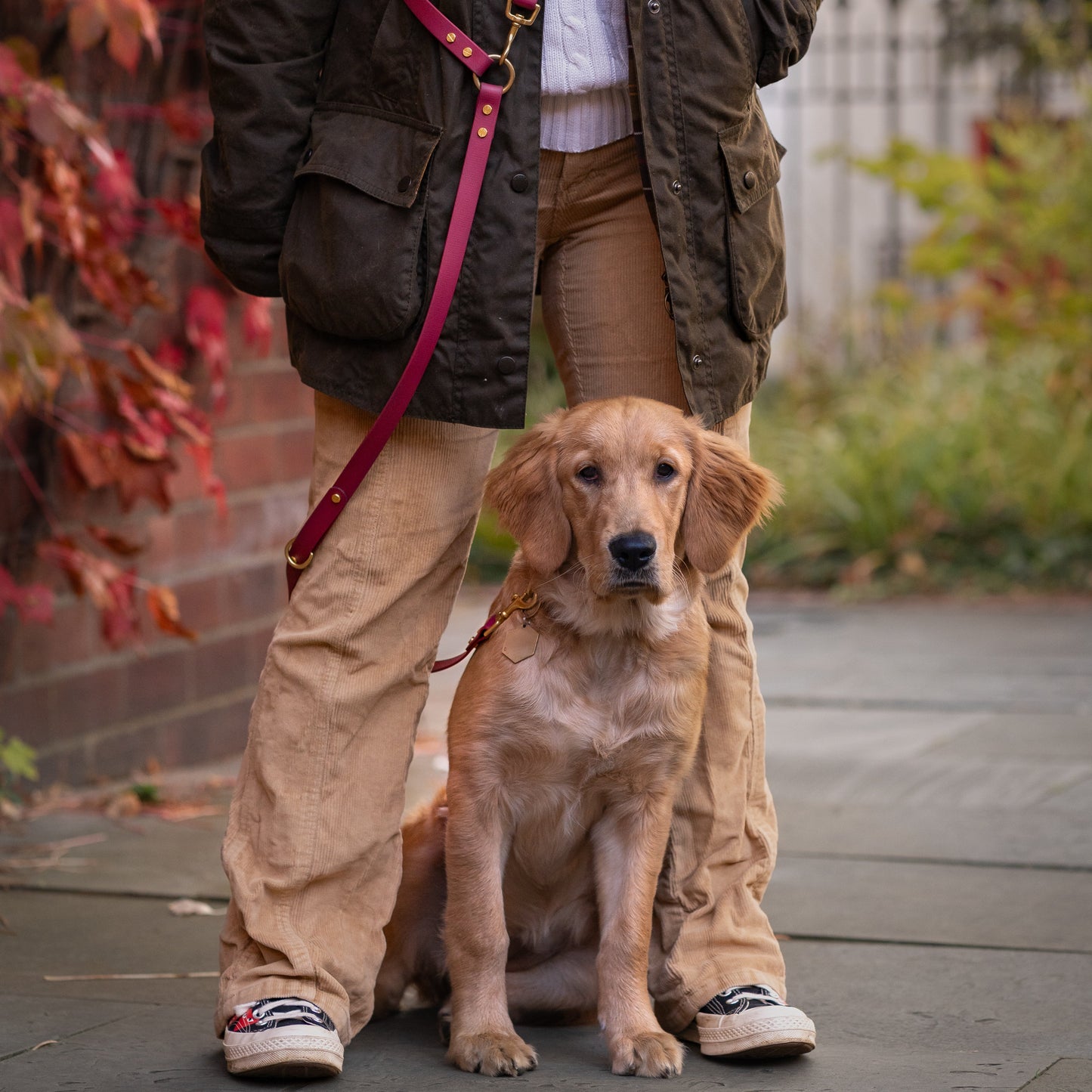 Crossbody Multiway BioThane® Lead