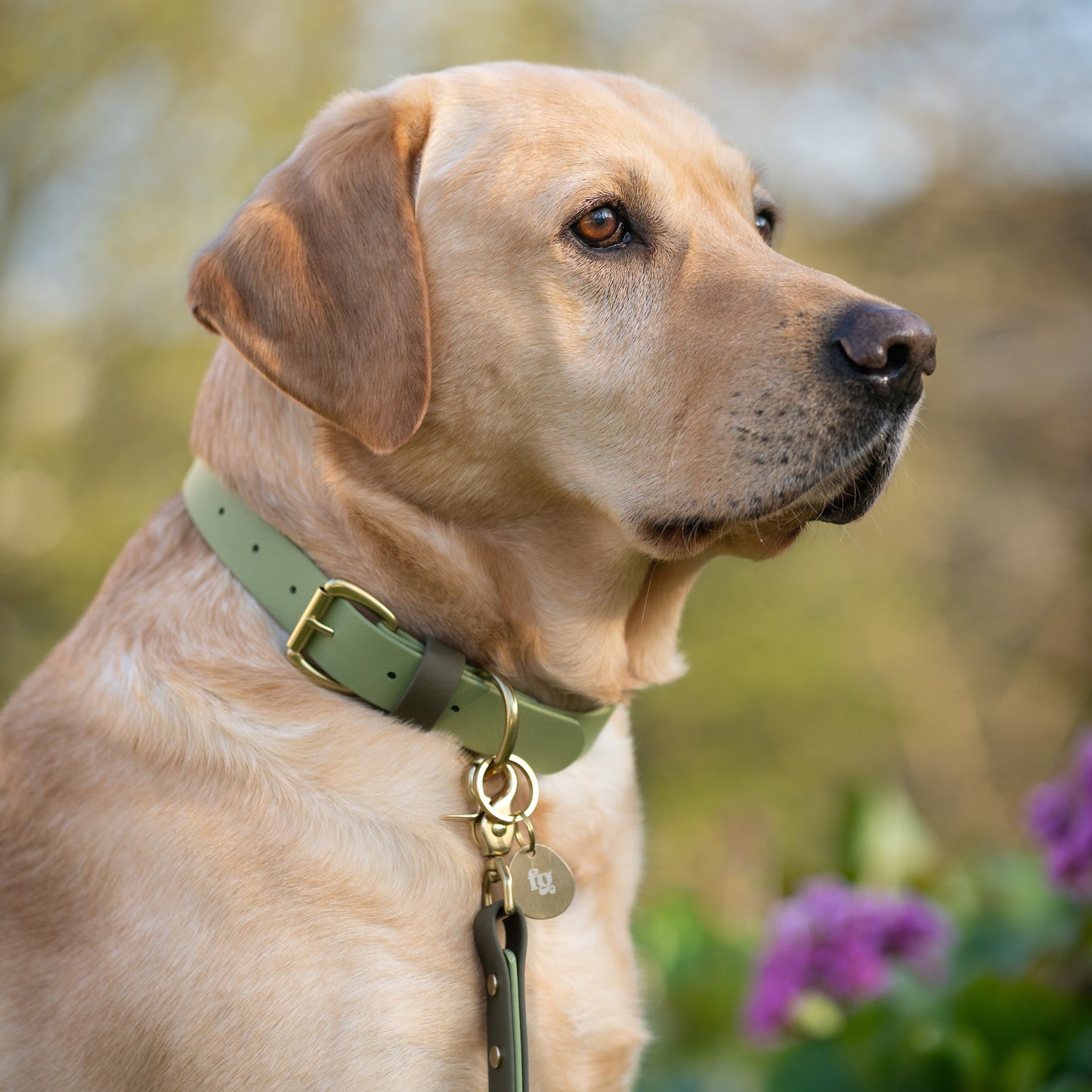 Boots Colourblock BioThane® Collar