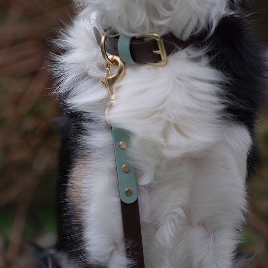 Ozzy Colourblock BioThane® Lead