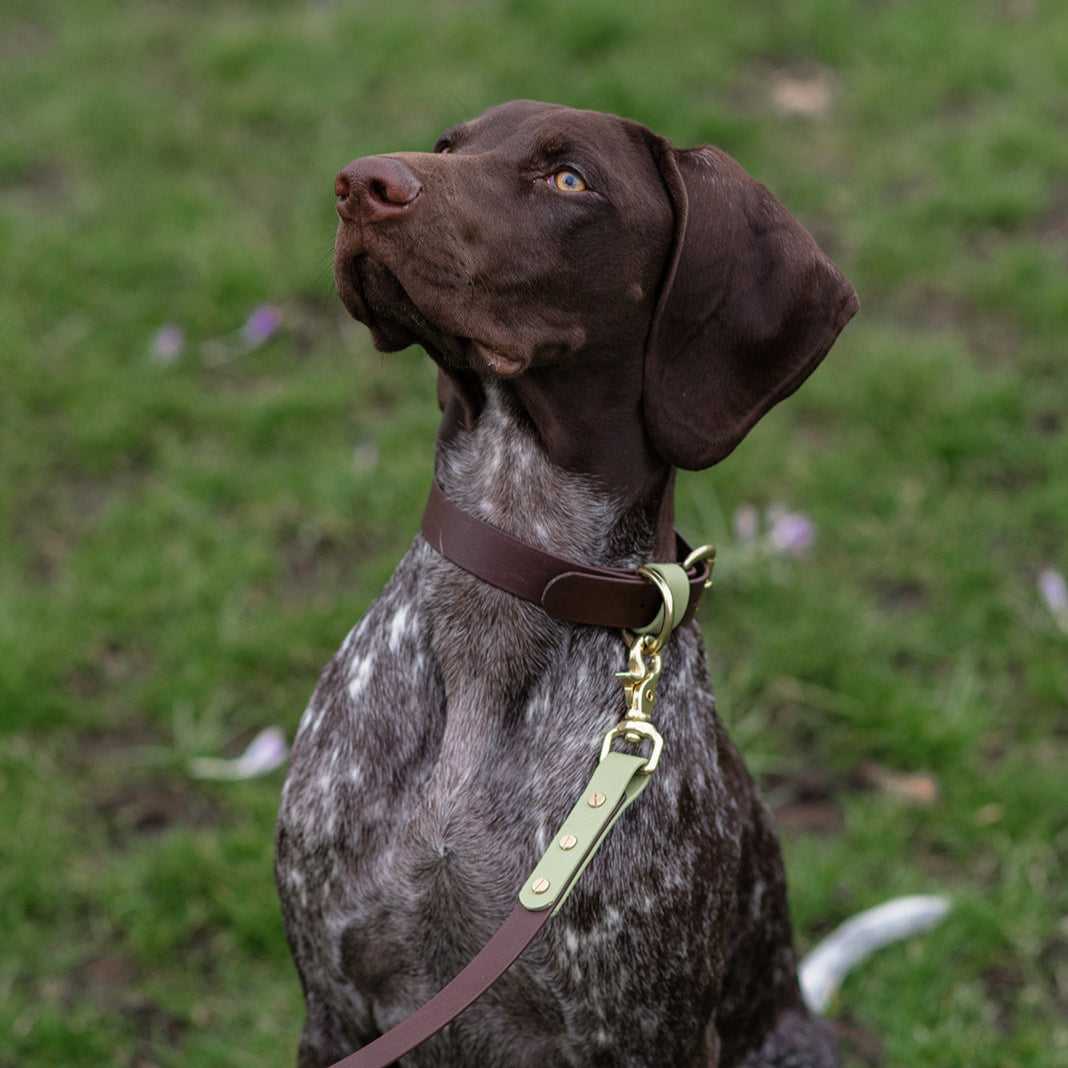 Zeus Colourblock BioThane® Collar